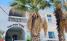 Two Palm Trees